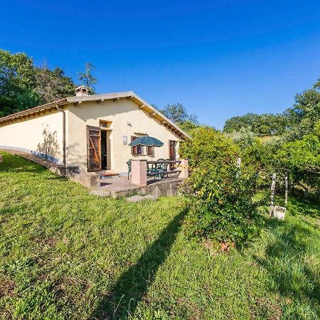 Holiday Home Grilli By Interhome Scansano Luaran gambar